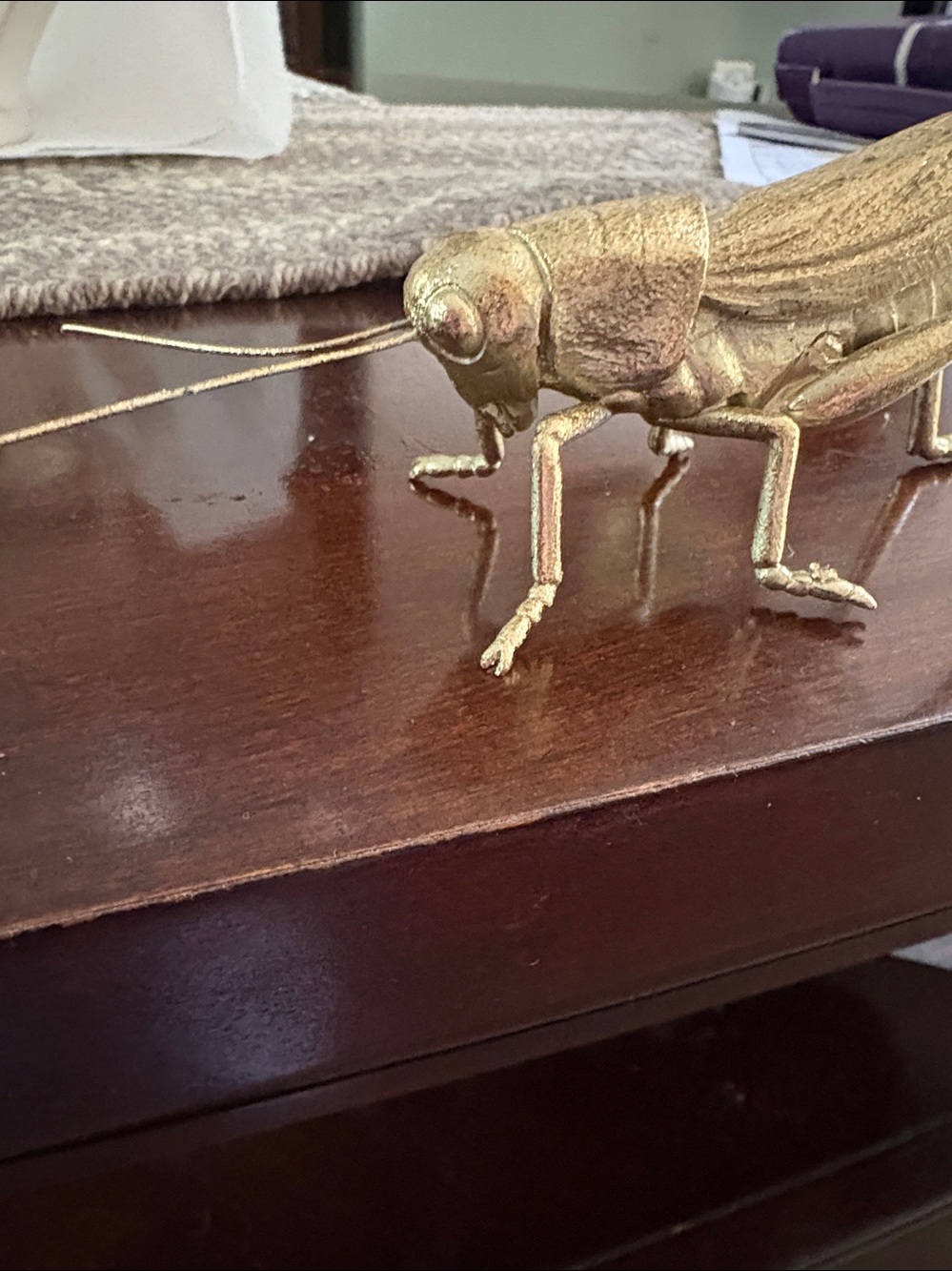 Grasshopper - Picture 3 of 4